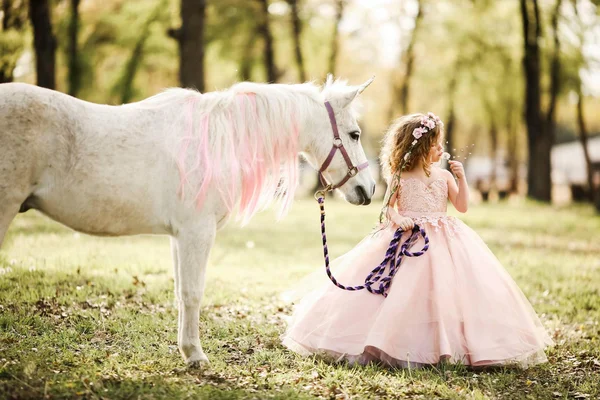 Mini Session Photography in Dallas-Fort Worth