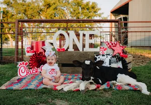 Chick-fil-A cow themed cake smash rural session